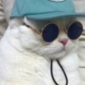 Meet your Posher, Viktoria